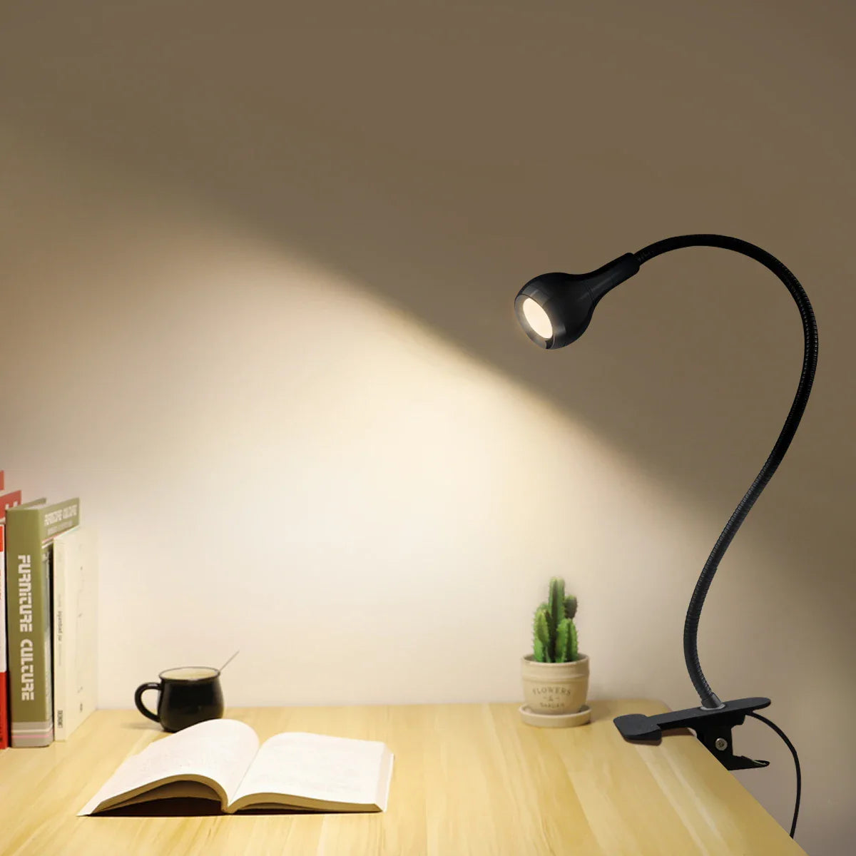 Lamps and Lighting