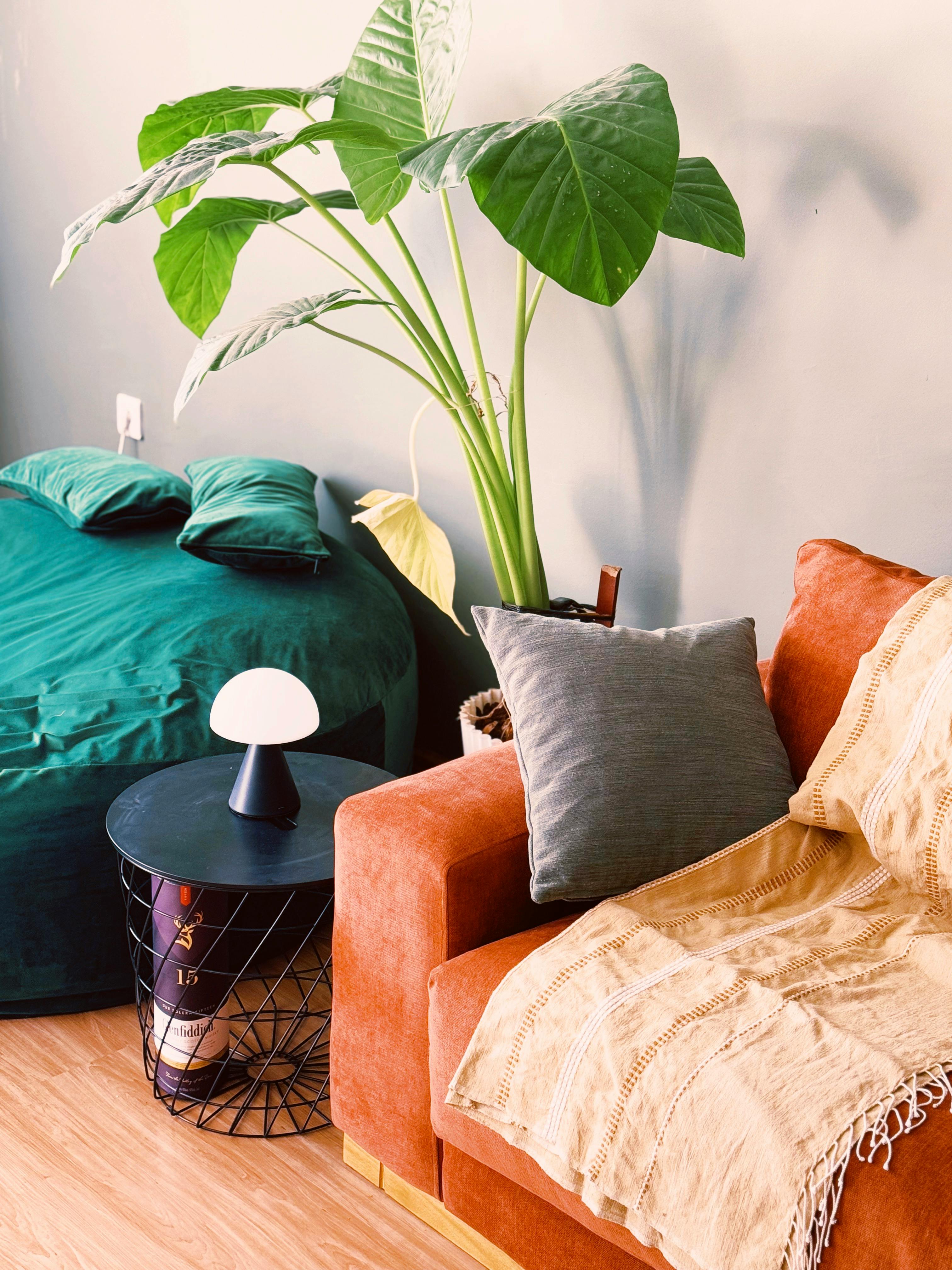 Decorative Throws