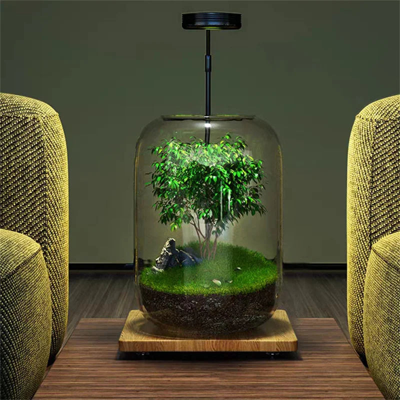Creative Grey Glass Bottle, Landscaping Moss or Succulent Hydroponic Terrarium