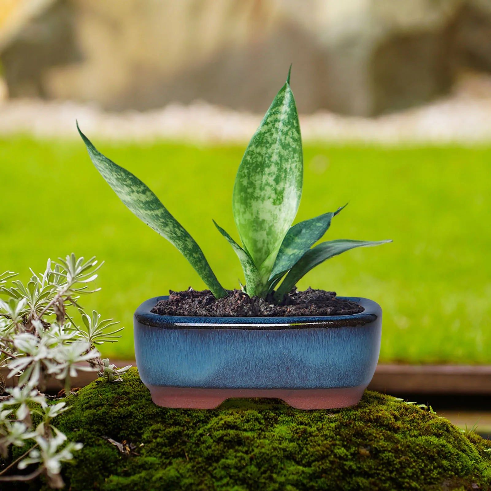 Ceramic Garden Planter Round with Hole Indoor Outdoor