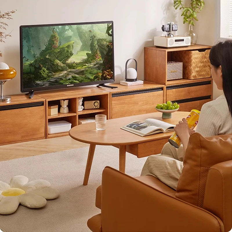 Modern Shelf, TV Stands, Cabinets, Universal Organizer