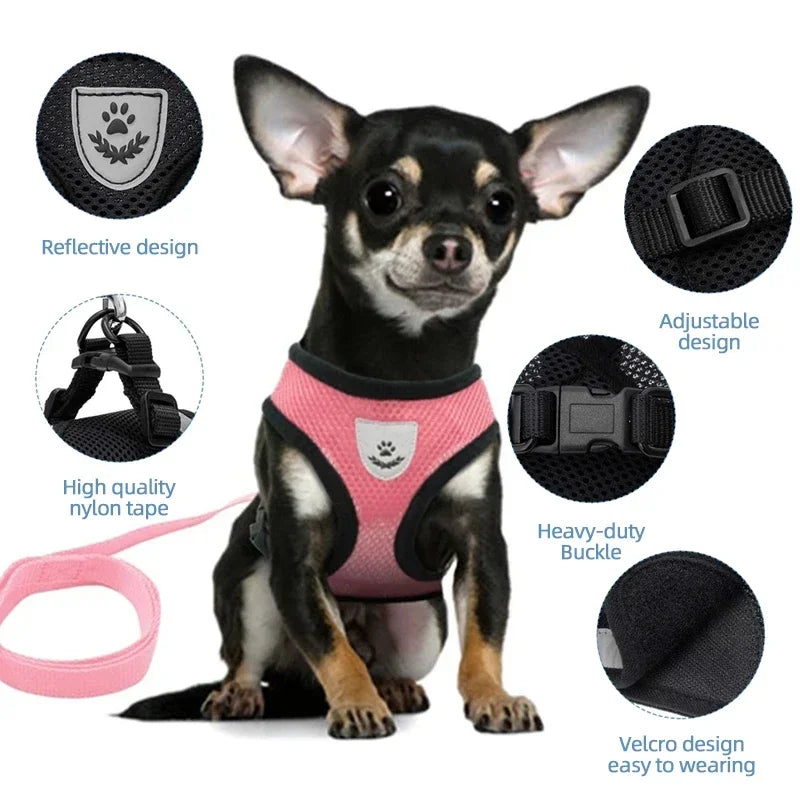 Cat Harness Vest Adjustable Mesh Harness For Cats and Small Dogs