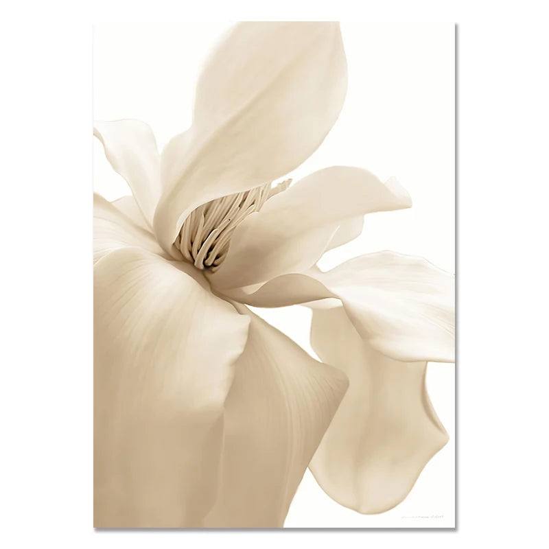 Canvas Paintings White Shells, Beach, Flowers, Posters and Prints