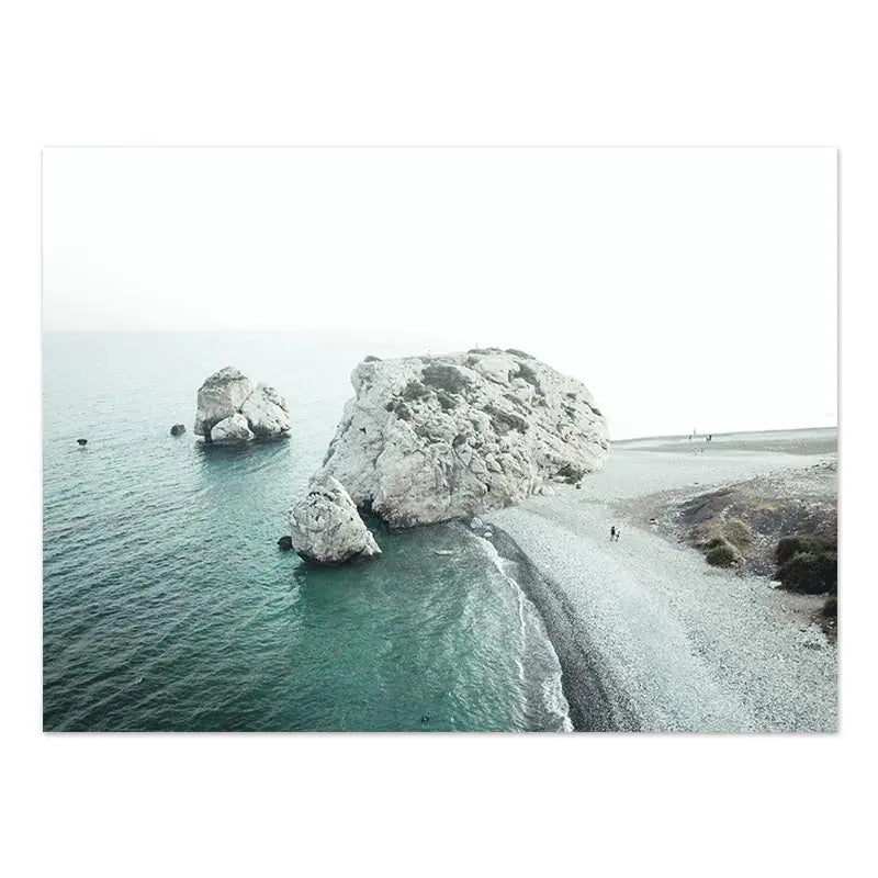 Beaches Weaves Ocean Seagulls Turtles Beautiful Canvas Paintings