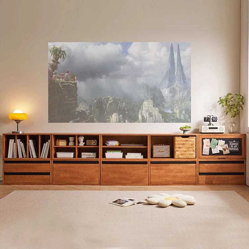 Modern Shelf, TV Stands, Cabinets, Universal Organizer