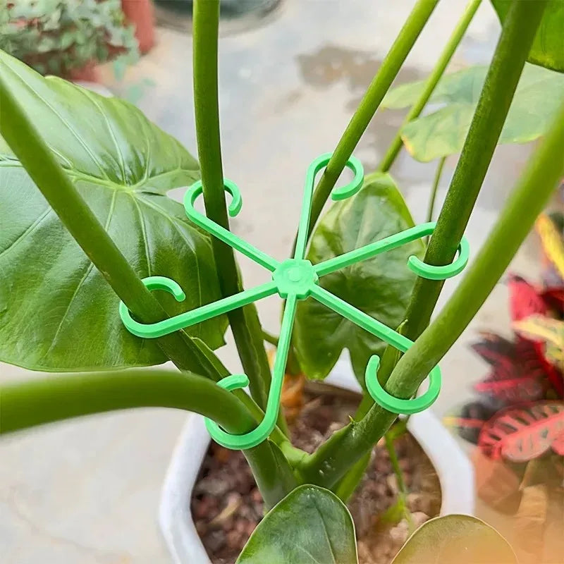 Plant Supports for Climbing Plants, Supports for Plant Stems, No Stake Trellis