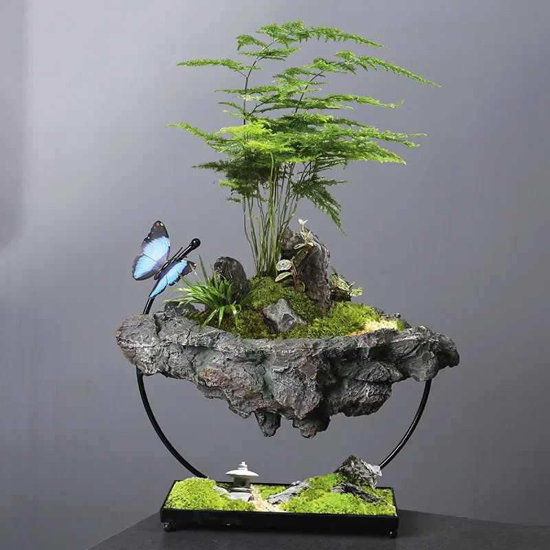 Home Decoration, Suspended Moss Basin, Plants