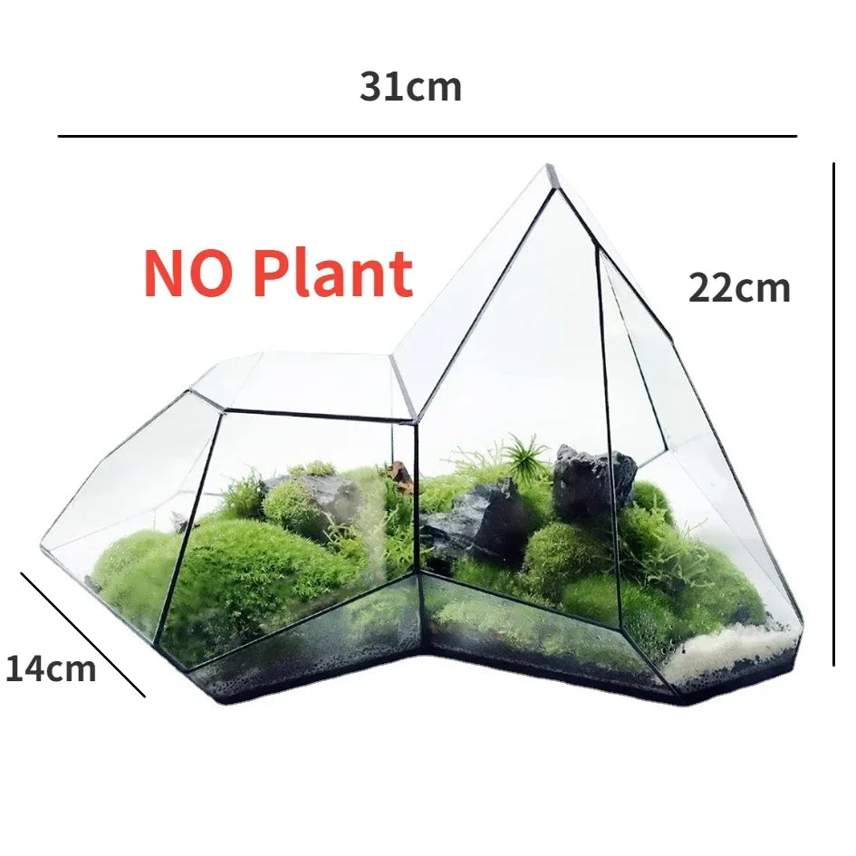 Glass Hydroponic Rainforest Terrarium, Geometric Moss Planter