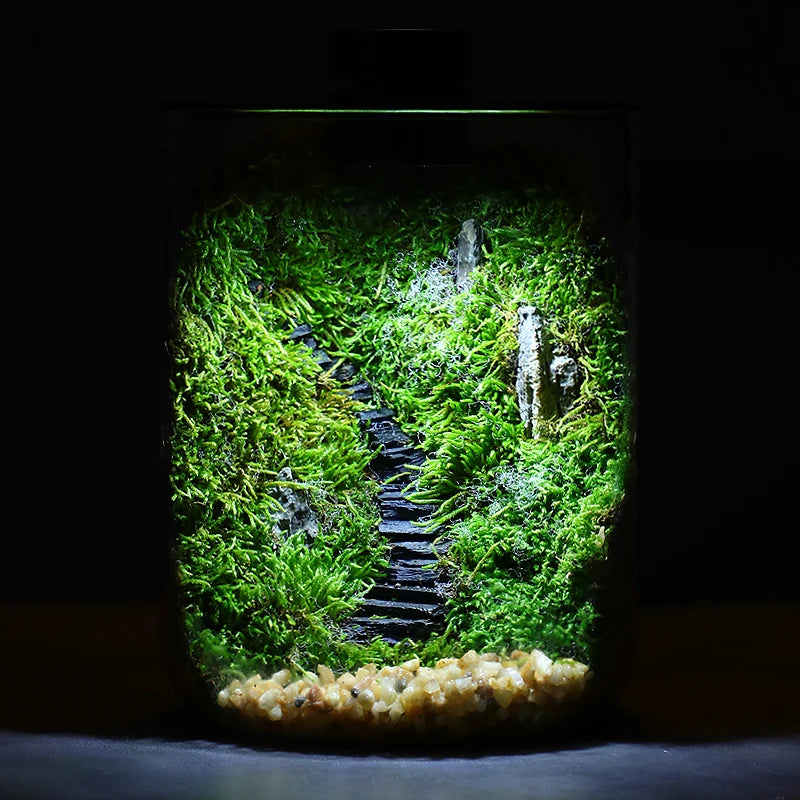 Micro Hydroponic Glass Terrarium With Grow Light