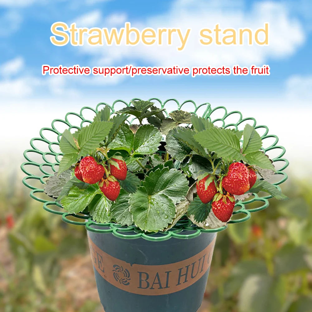 5/10 Gardening, Strawberry Vegetables, Supports Keep Plants Off Ground