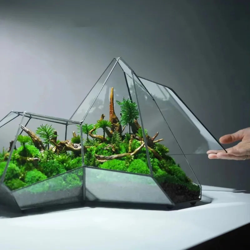 Glass Hydroponic Rainforest Terrarium, Geometric Moss Planter