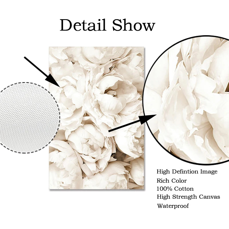 Canvas Paintings White Shells, Beach, Flowers, Posters and Prints