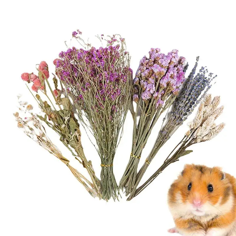 Dried Flower  Natural Hamster Bedding Deodorizing