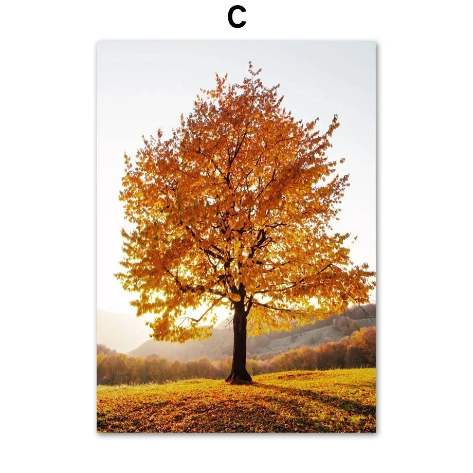 Wall Art Canvas Print Autumn Lake Sunshine Through Tree Maple