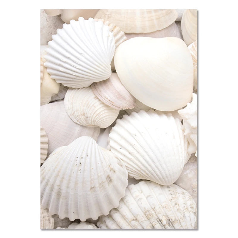 Canvas Paintings White Shells, Beach, Flowers, Posters and Prints