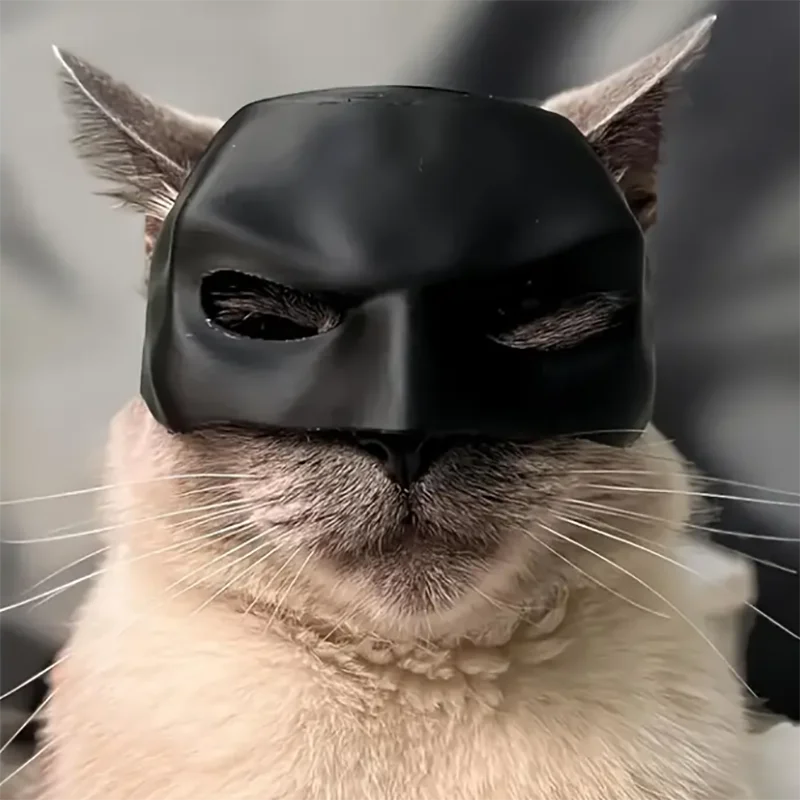 1 Pcs Bat Cat Avenger Mask
