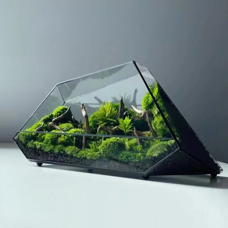 Glass Hydroponic Rainforest Terrarium, Geometric Moss Planter