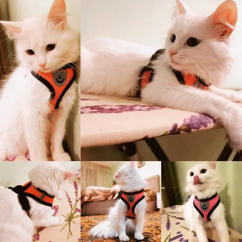 Cat Harness Vest Adjustable Mesh Harness For Cats and Small Dogs