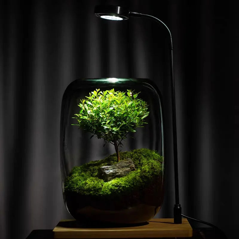 Creative Grey Glass Bottle, Landscaping Moss or Succulent Hydroponic Terrarium