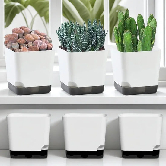 5Pcs Plant Pots, Self Watering Flower Pots Indoor Outdoor, with Drainage Hole & Clear Saucer Reservoir