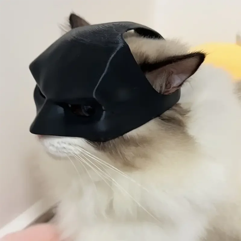1 Pcs Bat Cat Avenger Mask