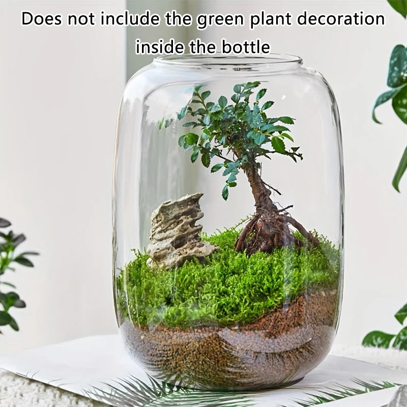 1PC Glass Vase, Uses Fish Tank, Moss Garden Display