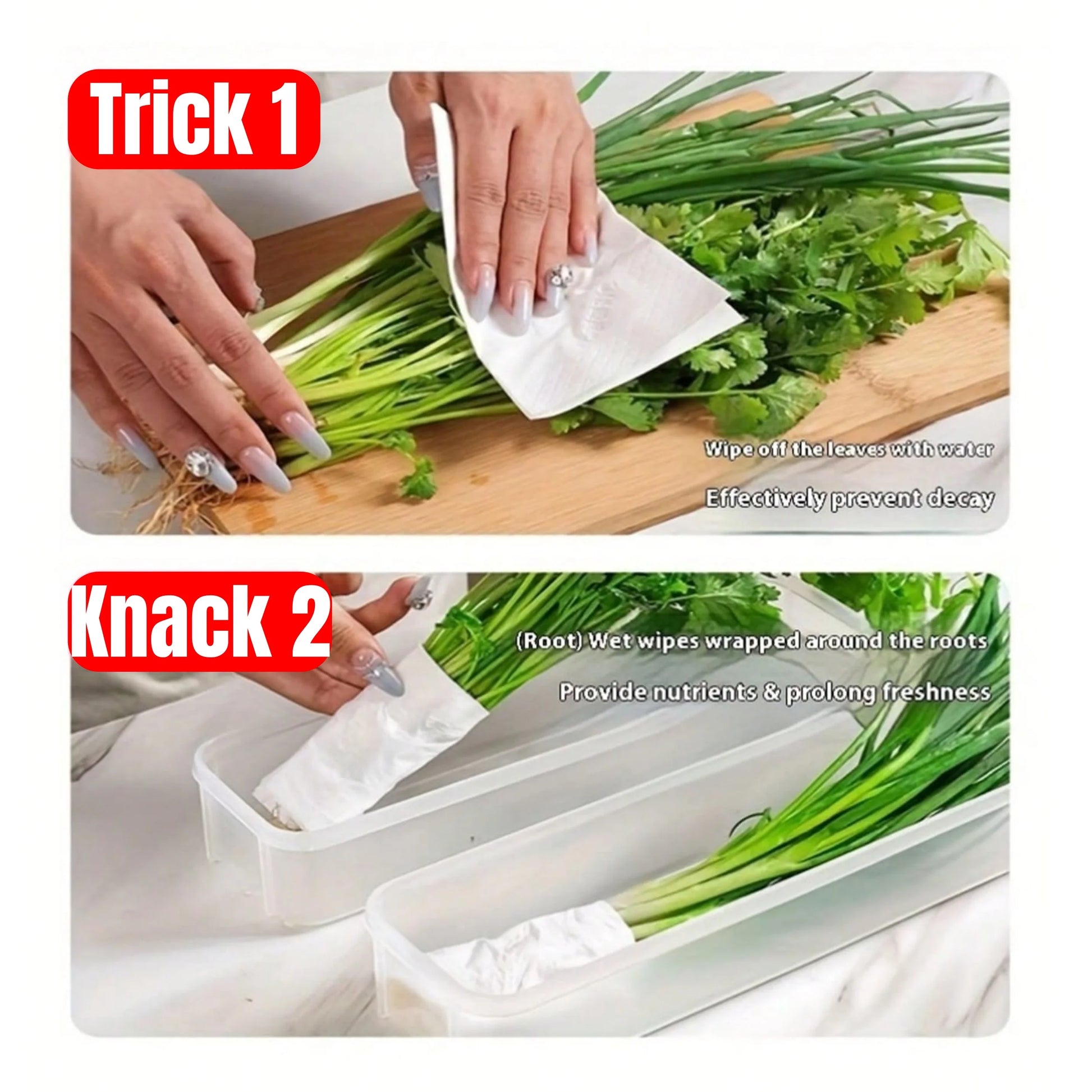 Refrigerator Storage Boxes with Lid, Plastic Sealed Container