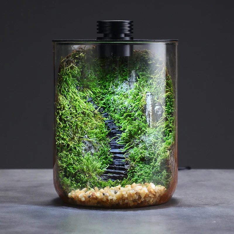 Micro Landscape Ecological Desktop Glass Plant Terrarium with Grow Light