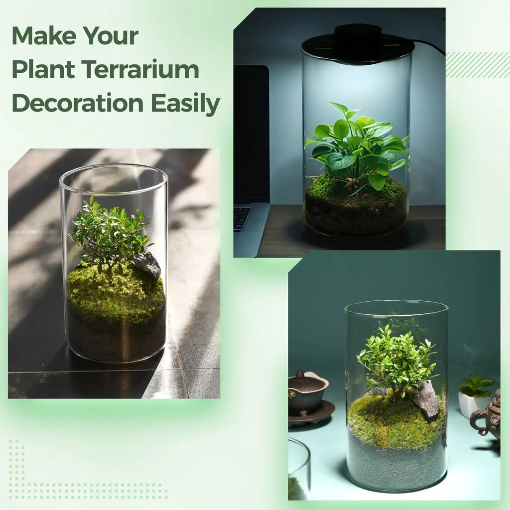 Micro Landscape Ecological Desktop Glass Plant Terrarium with Grow Light