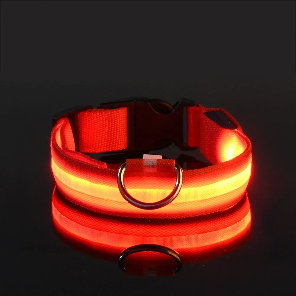 Dog Night Safety Glow In The Dark Collar