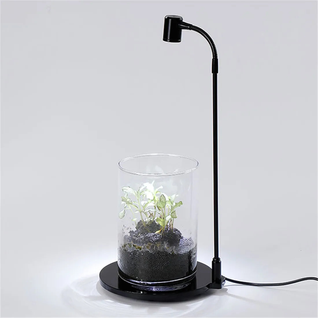 USB Grow Light, Indoor Plant LED Lamp, Stand, Height Adjustable