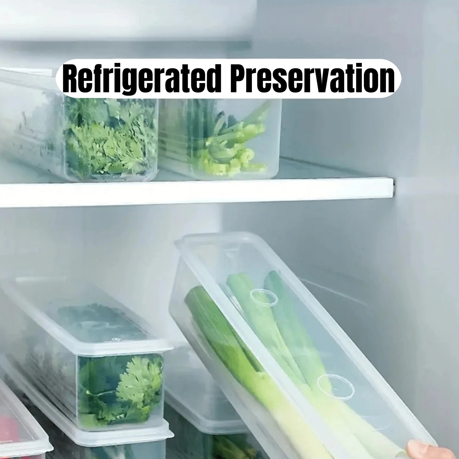 Refrigerator Storage Boxes with Lid, Plastic Sealed Container