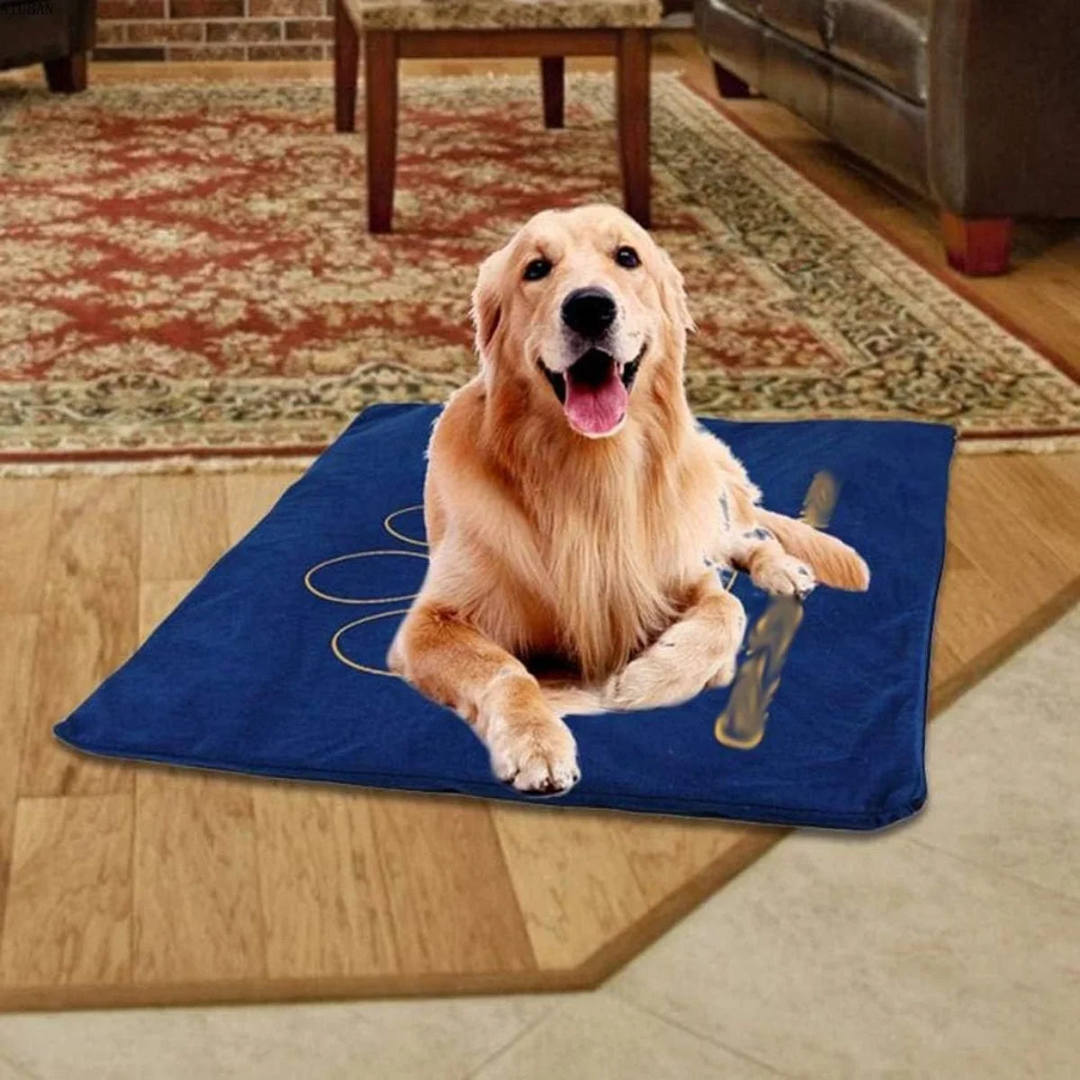 Heating Pad for Dogs and Cats, Chew Resistant Electric Cord