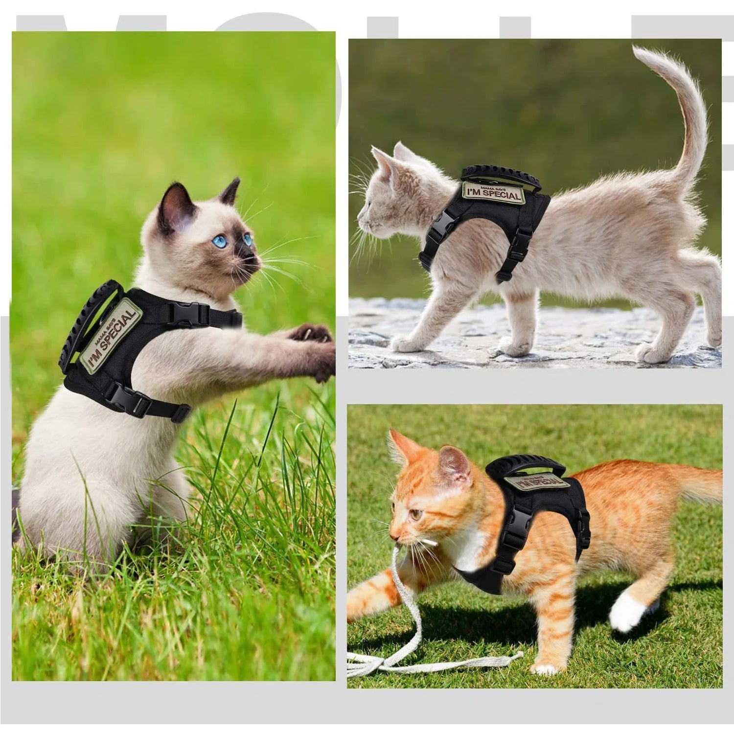 Cat Tactical Vest With Chest Strap Vest Type