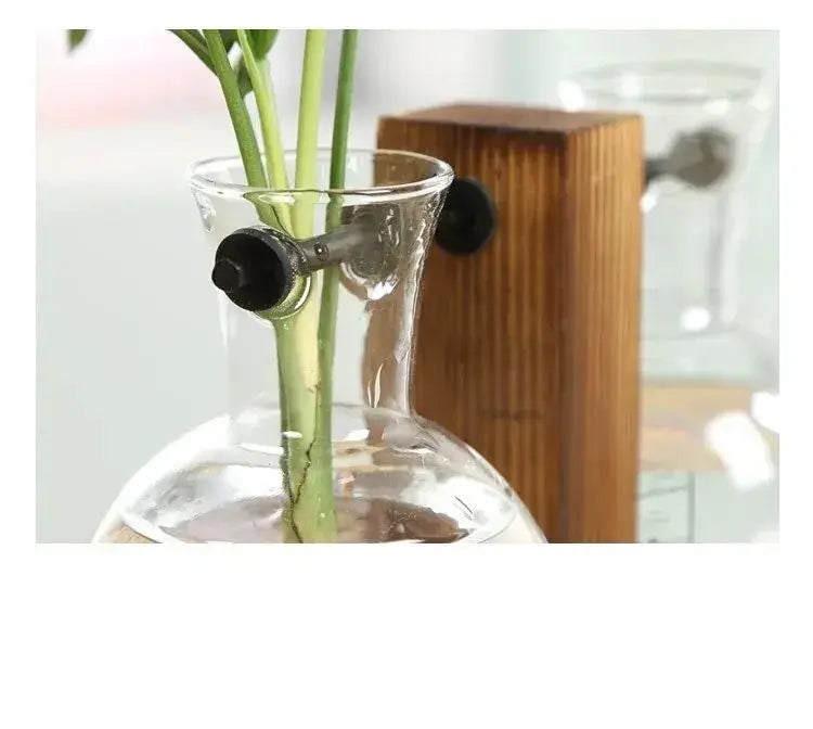 Desktop Planter Bulbs With Stand