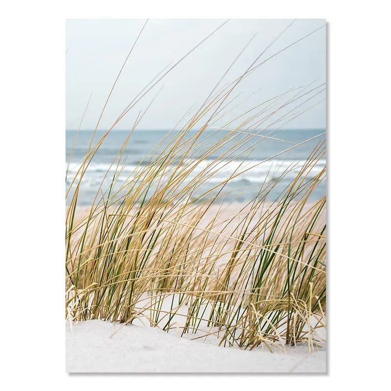 Beaches Weaves Ocean Seagulls Turtles Beautiful Canvas Paintings