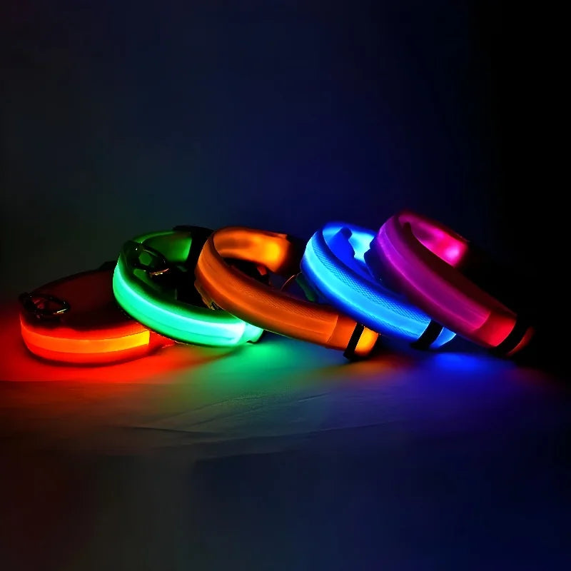 Dog Night Safety Glow In The Dark Collar