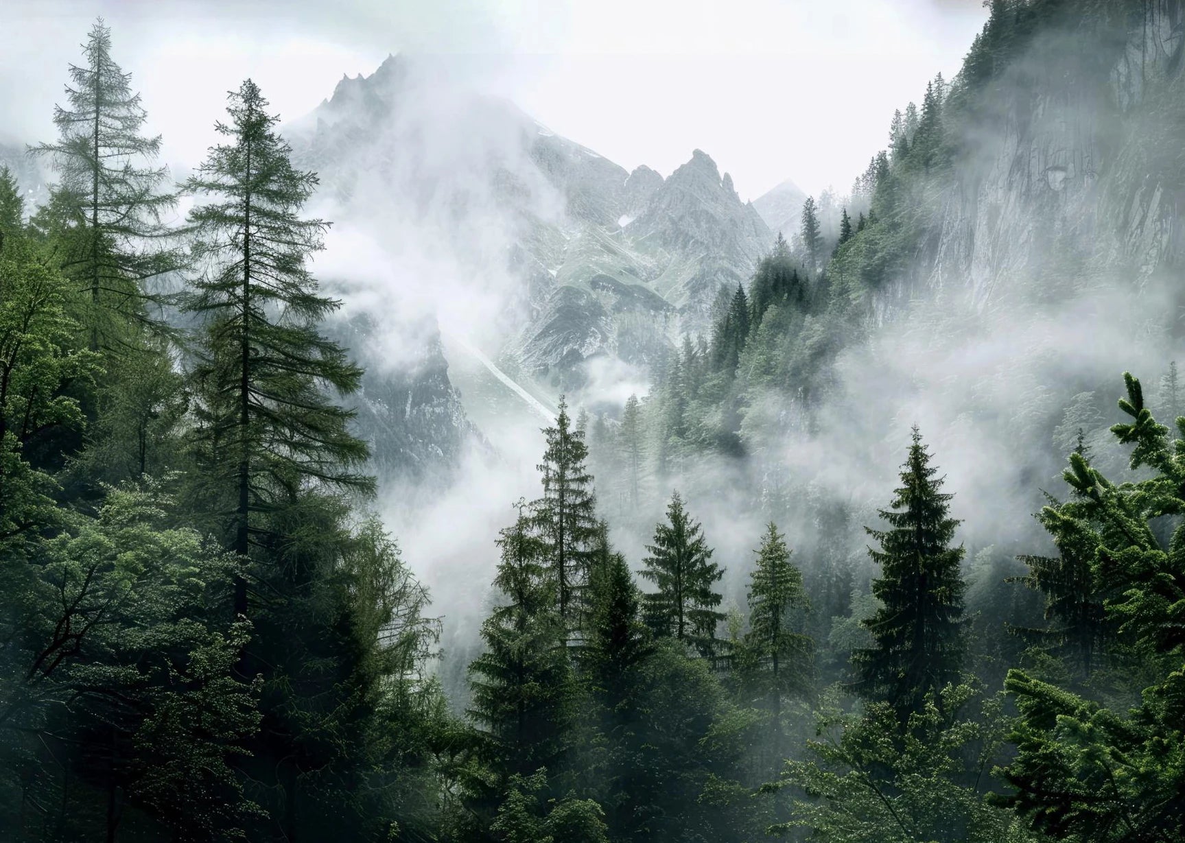 Foggy Mountain Green Forest Resting Waiting For The Sun Canvas