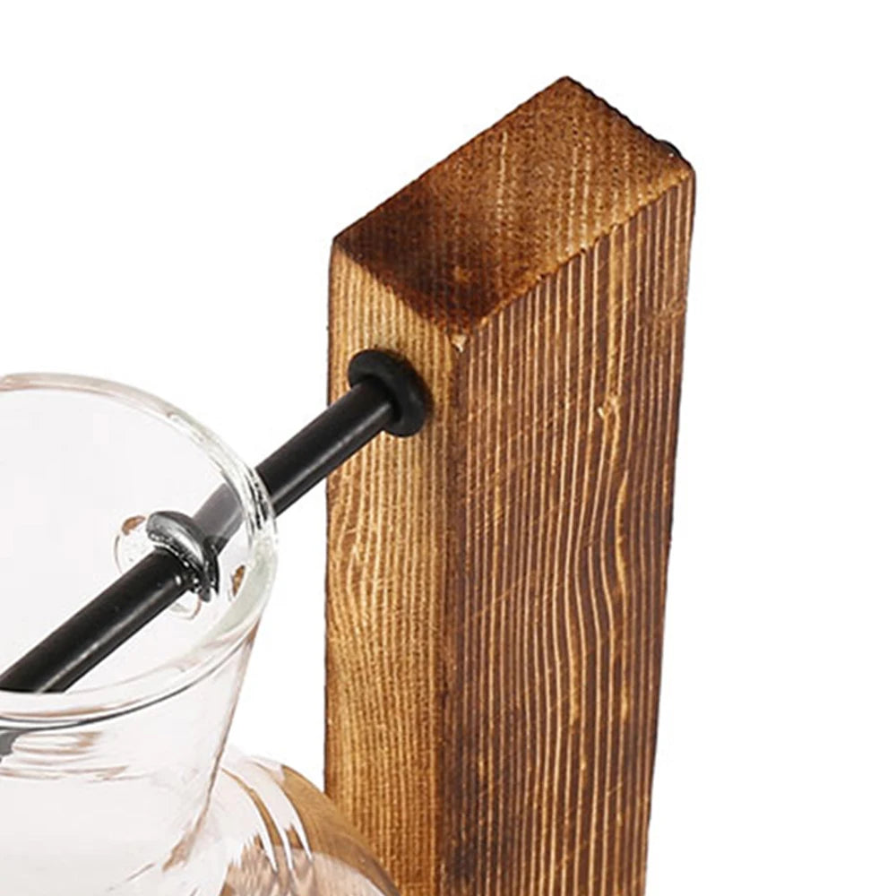 Desktop Planter Bulbs With Stand