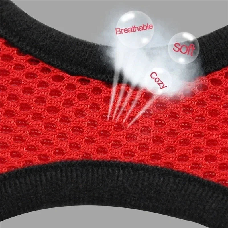 Cat Harness Vest Adjustable Mesh Harness For Cats and Small Dogs