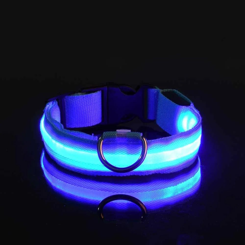 Dog Night Safety Glow In The Dark Collar