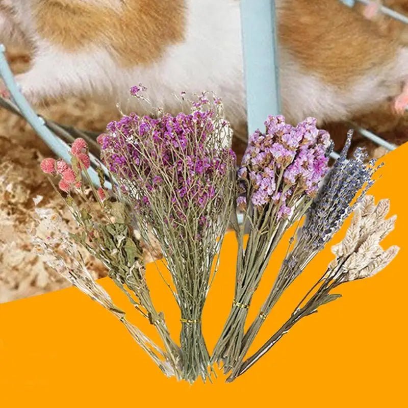Dried Flower  Natural Hamster Bedding Deodorizing