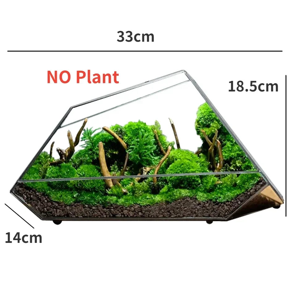 Glass Hydroponic Rainforest Terrarium, Geometric Moss Planter