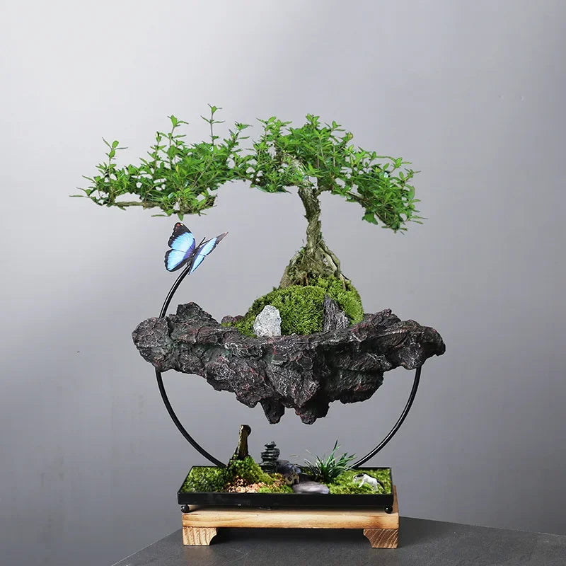 Home Decoration, Suspended Moss Basin, Plants