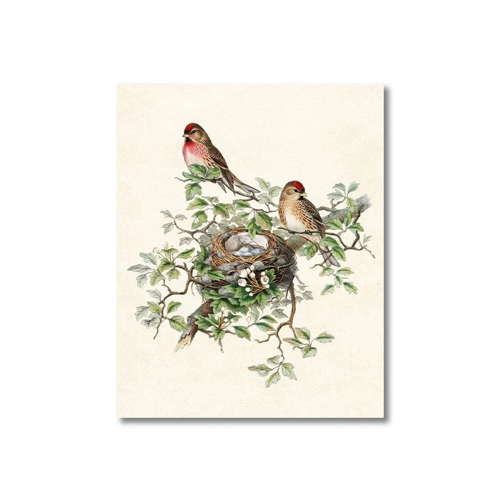 Vintage Bird Art Print Poster Antique Bird Sketch Wall Art Canvas Painting Vintage Country Bird Neutral Farmhouse Room Decor