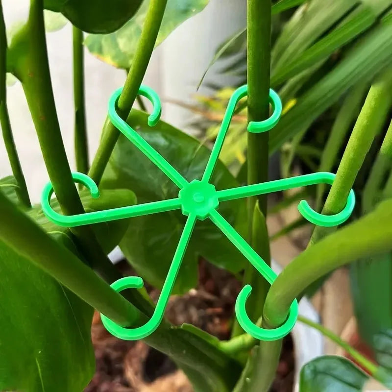 Plant Supports for Climbing Plants, Supports for Plant Stems, No Stake Trellis