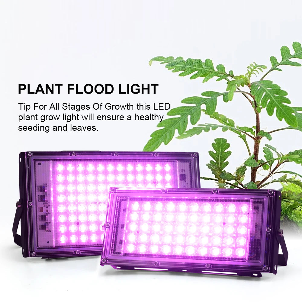 LED Grow Light Full Spectrum Phyto Lamp  AC 220V 50W 100W 150W Indoor Hydroponic