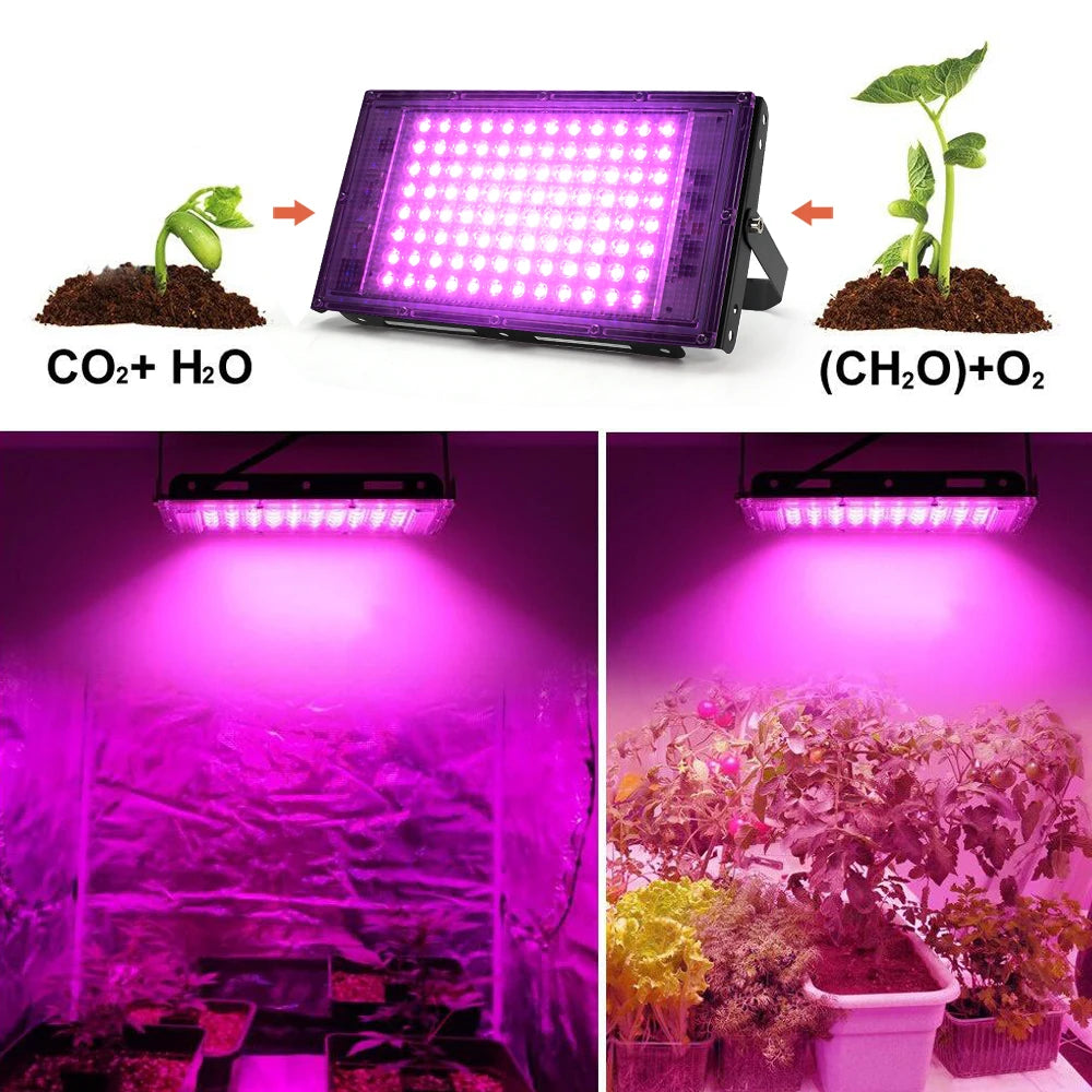LED Grow Light Full Spectrum Phyto Lamp  AC 220V 50W 100W 150W Indoor Hydroponic