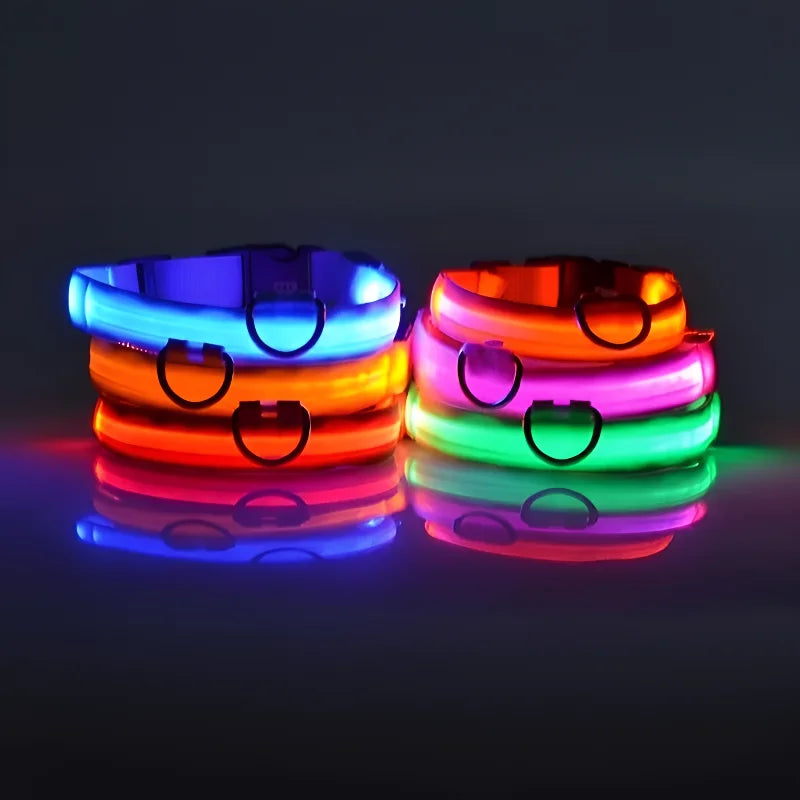 Dog Night Safety Glow In The Dark Collar