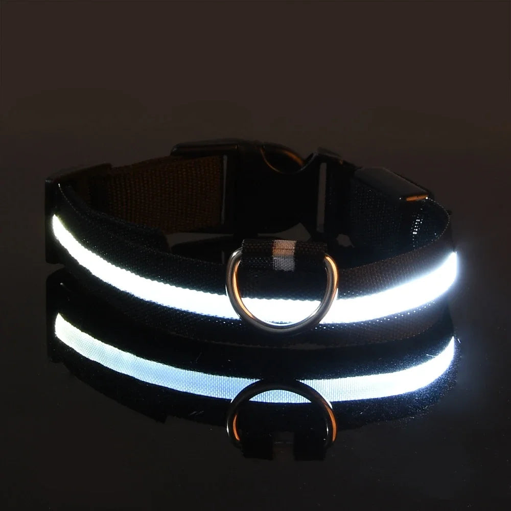 Dog Night Safety Glow In The Dark Collar